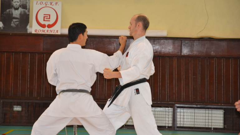 2013 Roumanie Sensei Nakamura