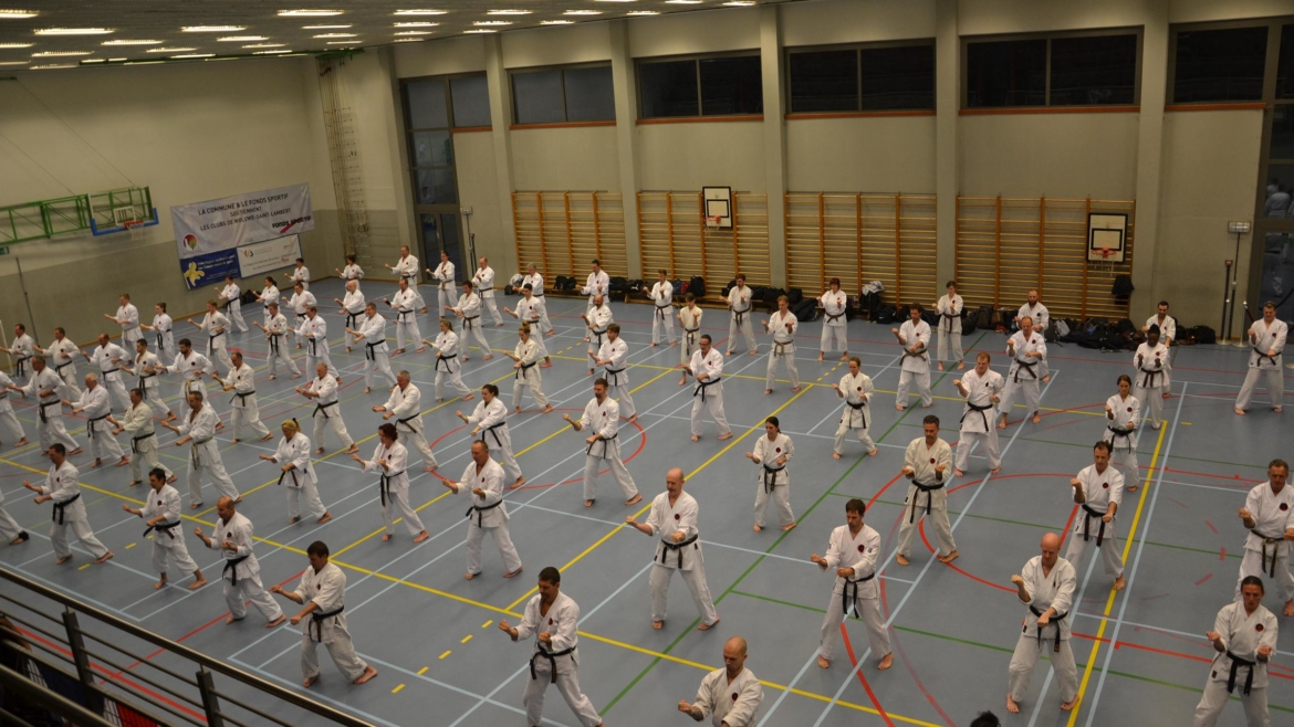 Belgian Gasshuku 2017 – Sensei Nakamura